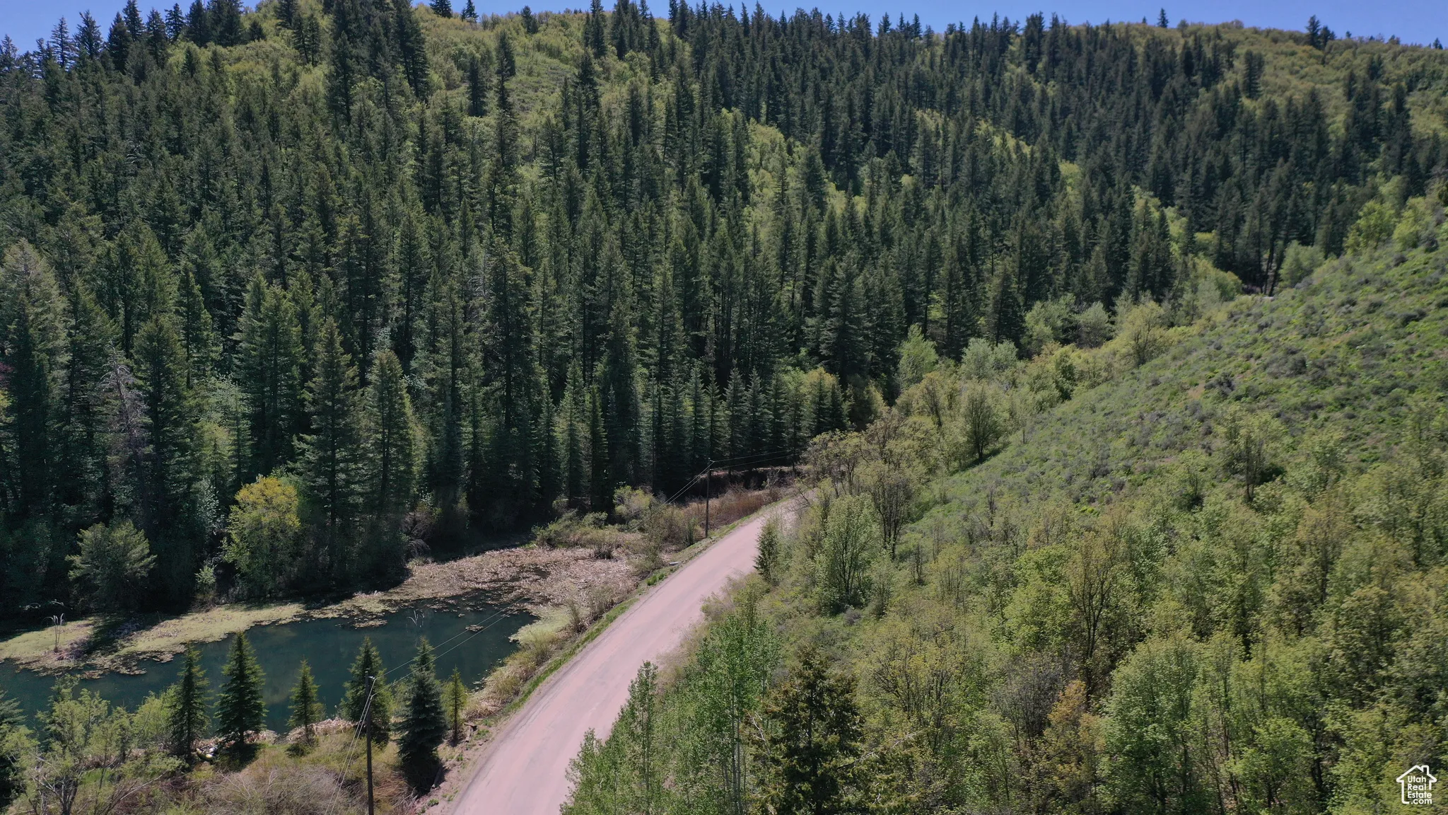 Aerial overview of property's location with a forest and a large body of water