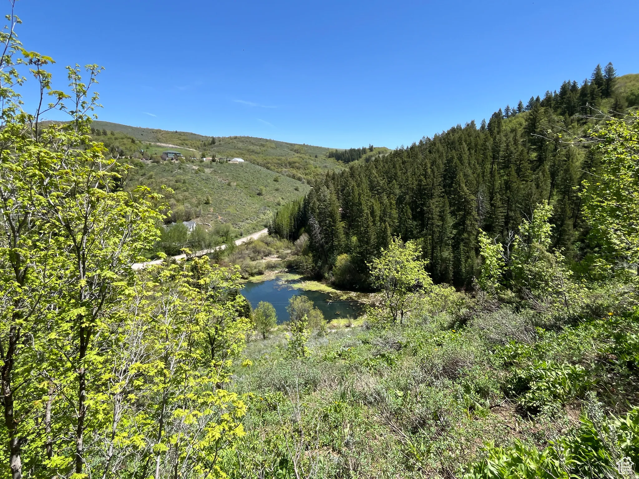 View of mountain backdrop featuring a heavily wooded area