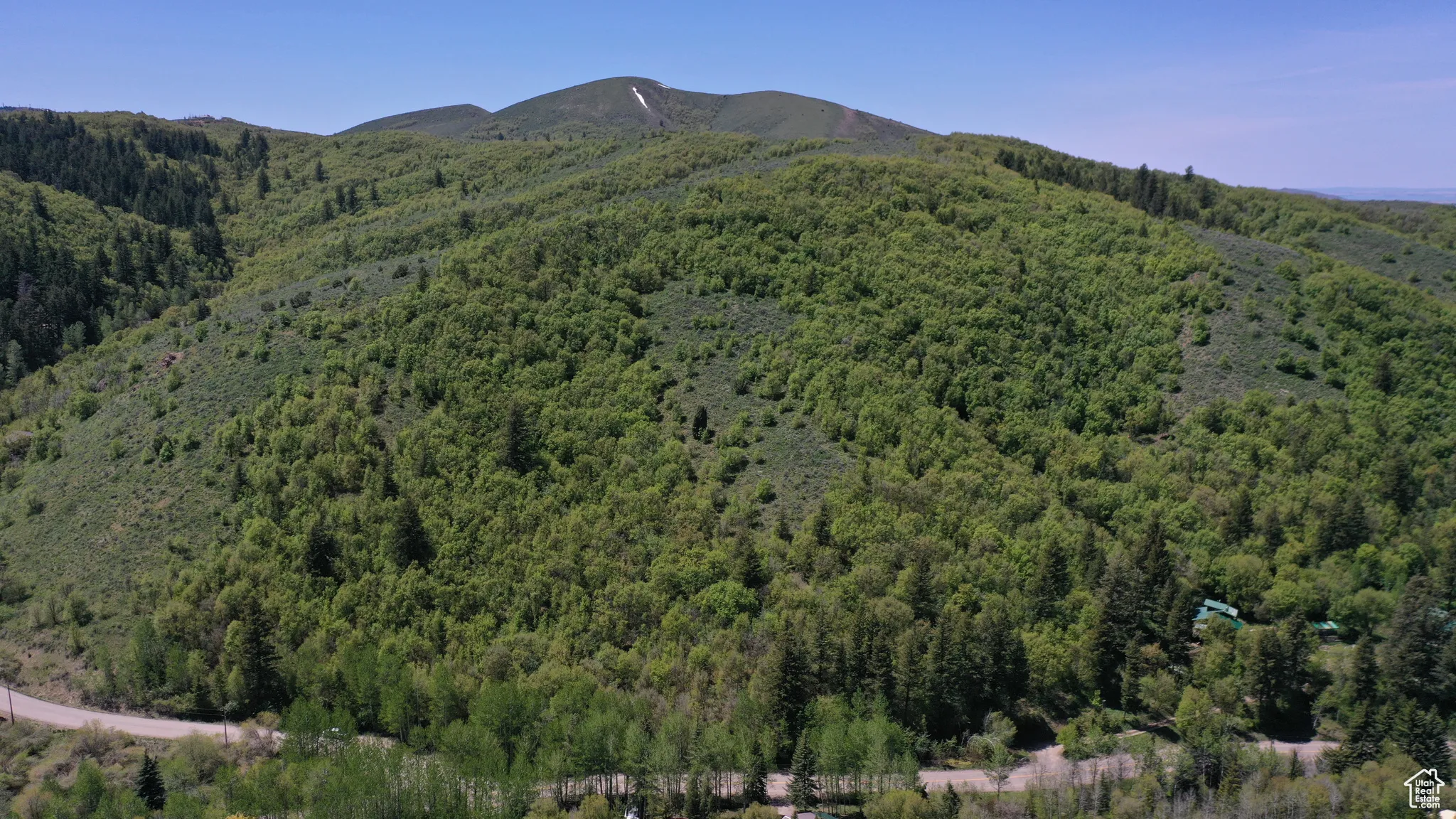 Mountain view featuring a heavily wooded area