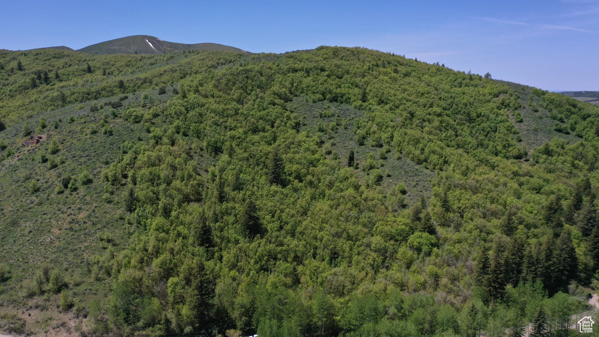 View of mountain background featuring a forest