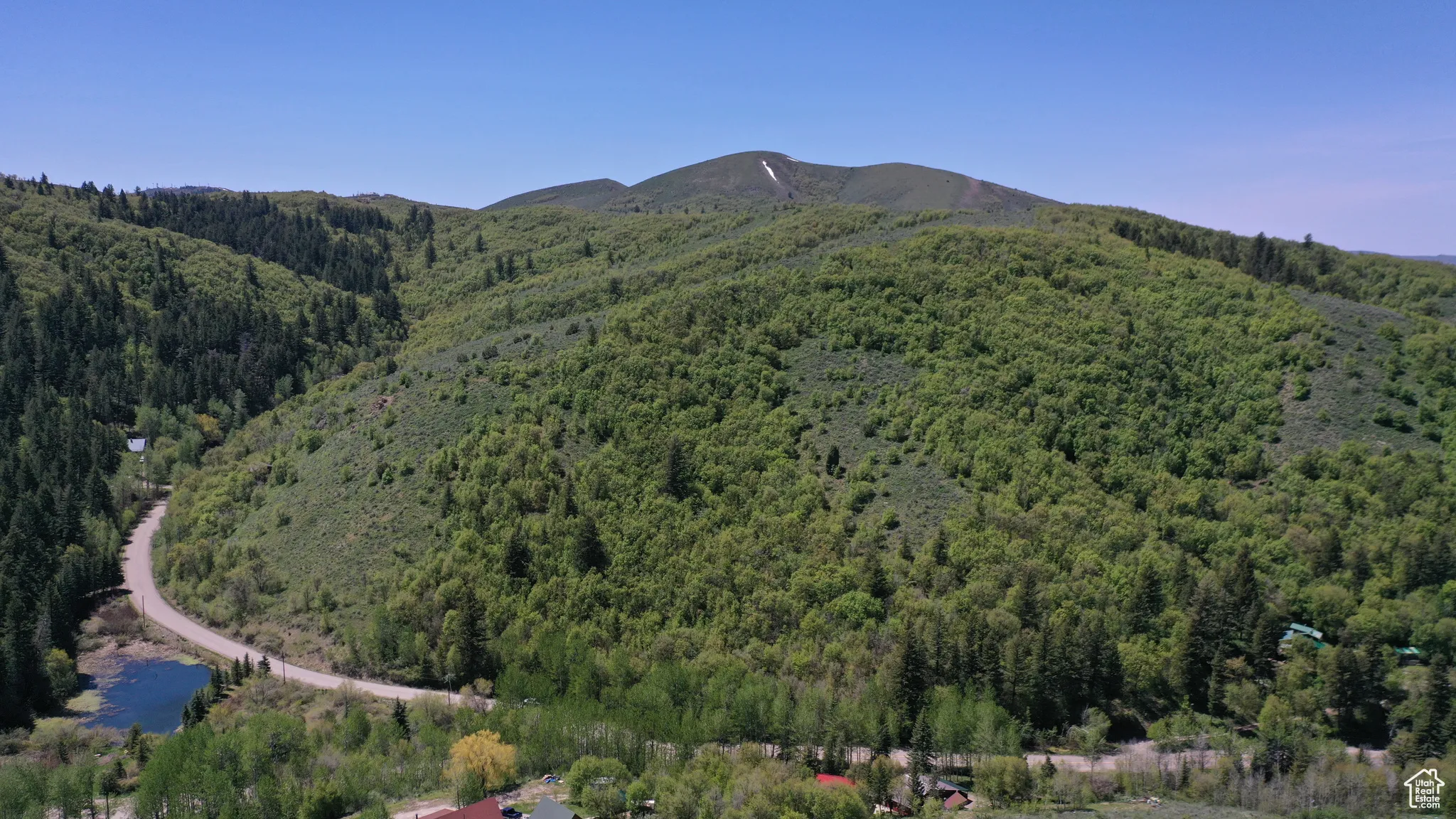 Aerial overview of property's location with a heavily wooded area and a mountain backdrop