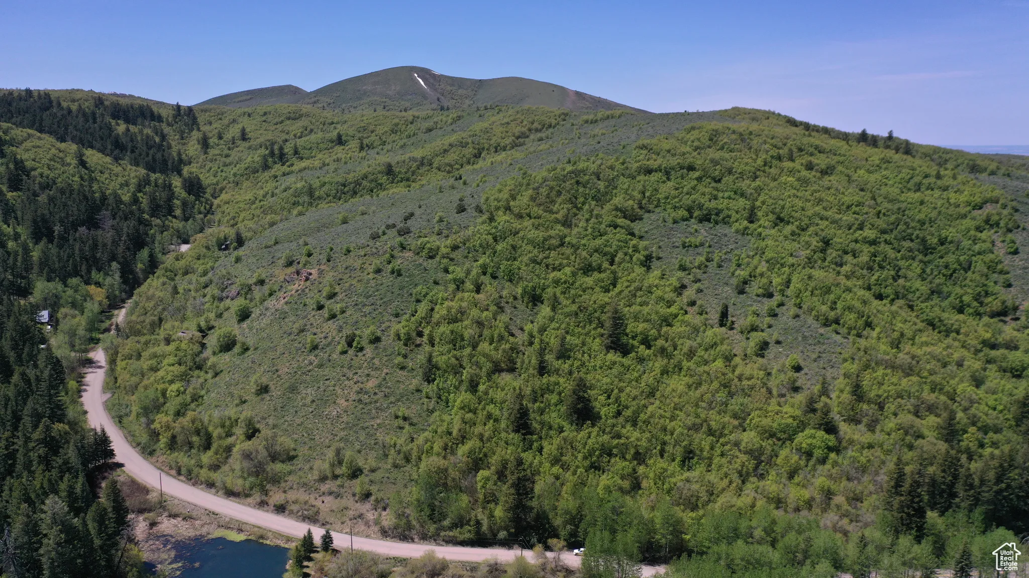 View of mountain background with a forest