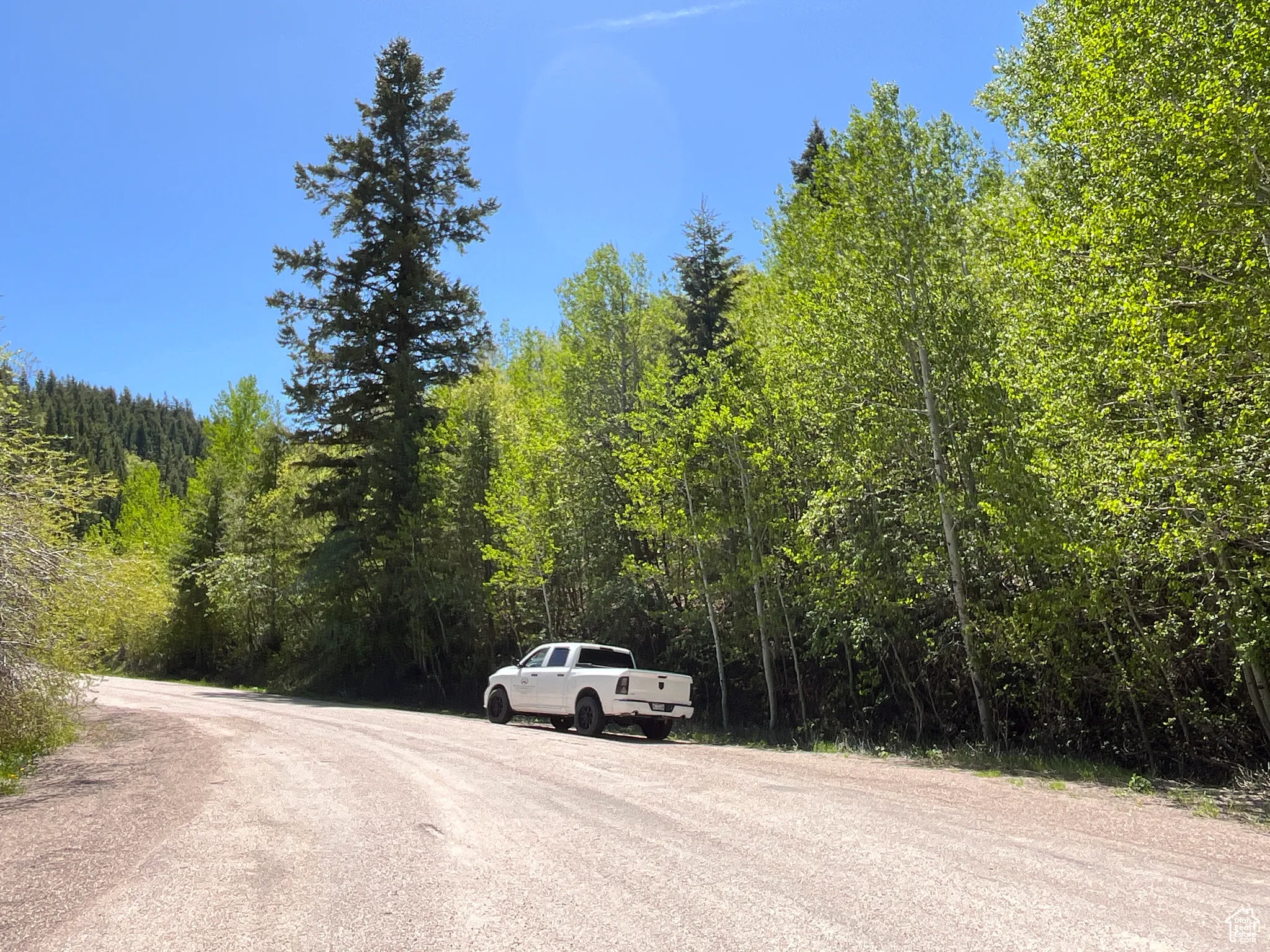 View of asphalt street with a view of trees
