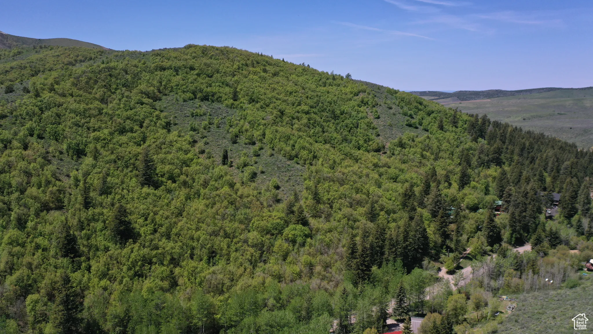 Mountain view with a forest