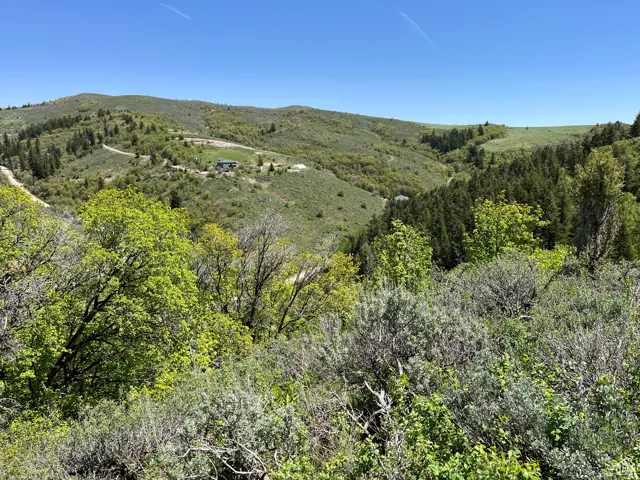 View of mountain backdrop featuring a heavily wooded area
