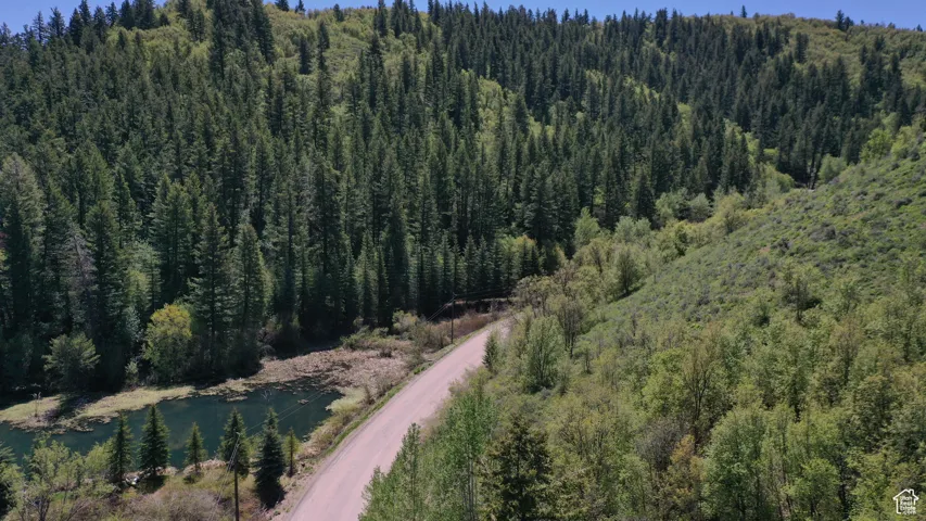 Aerial overview of property's location with a forest and a large body of water