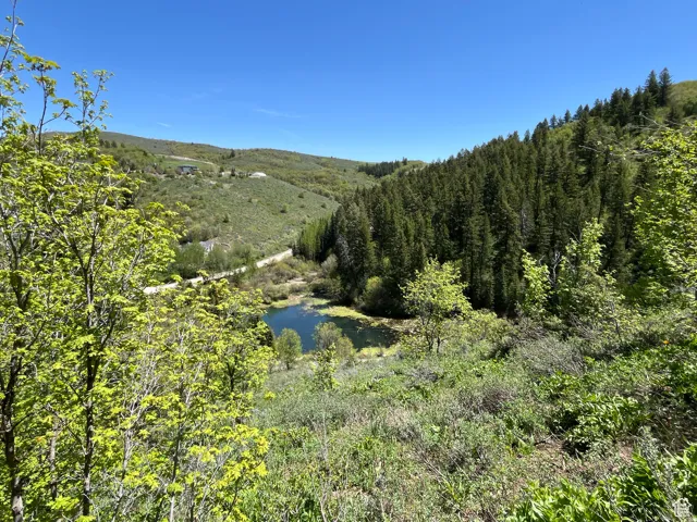 View of mountain backdrop featuring a heavily wooded area