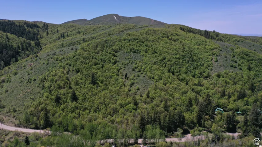 Mountain view featuring a heavily wooded area