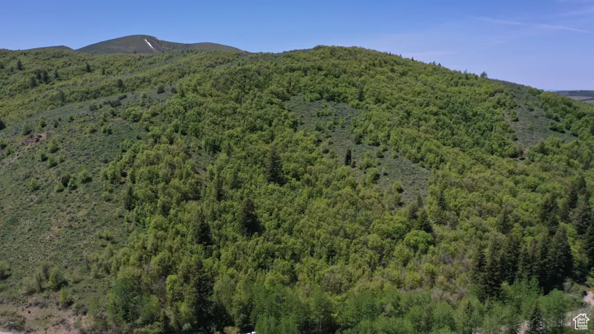 View of mountain background featuring a forest