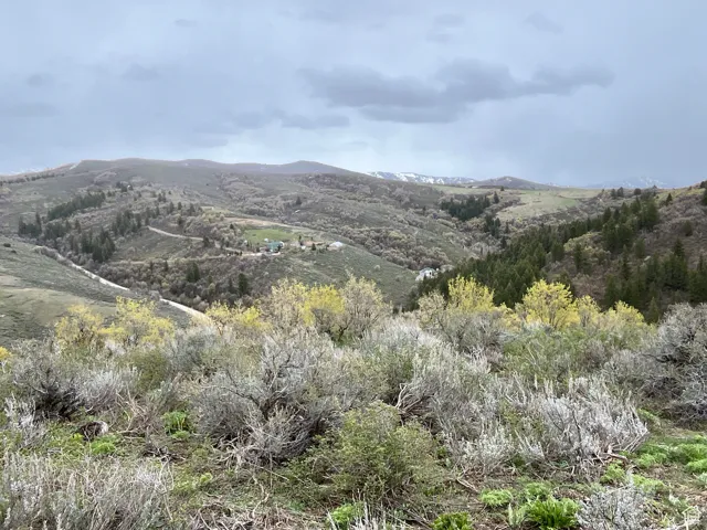 Mountain view