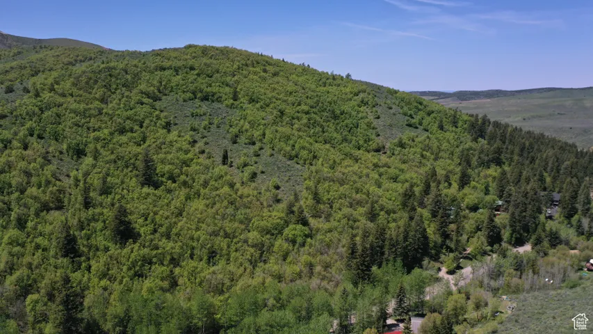 Mountain view with a forest