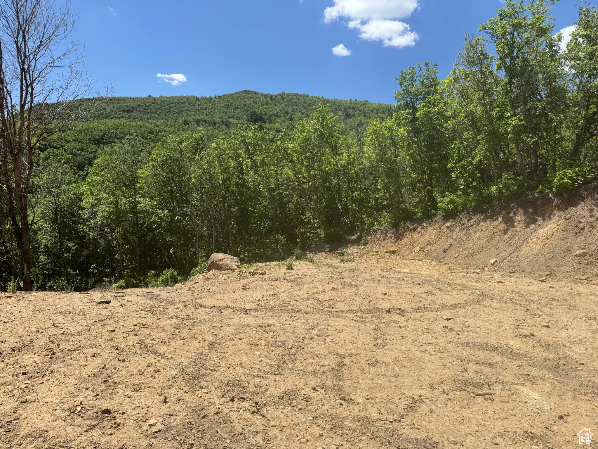 View of wooded area