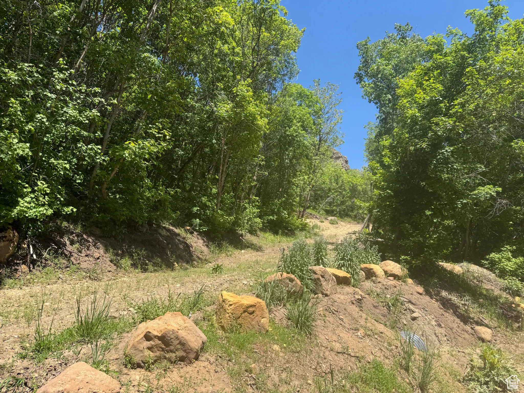 View of nature