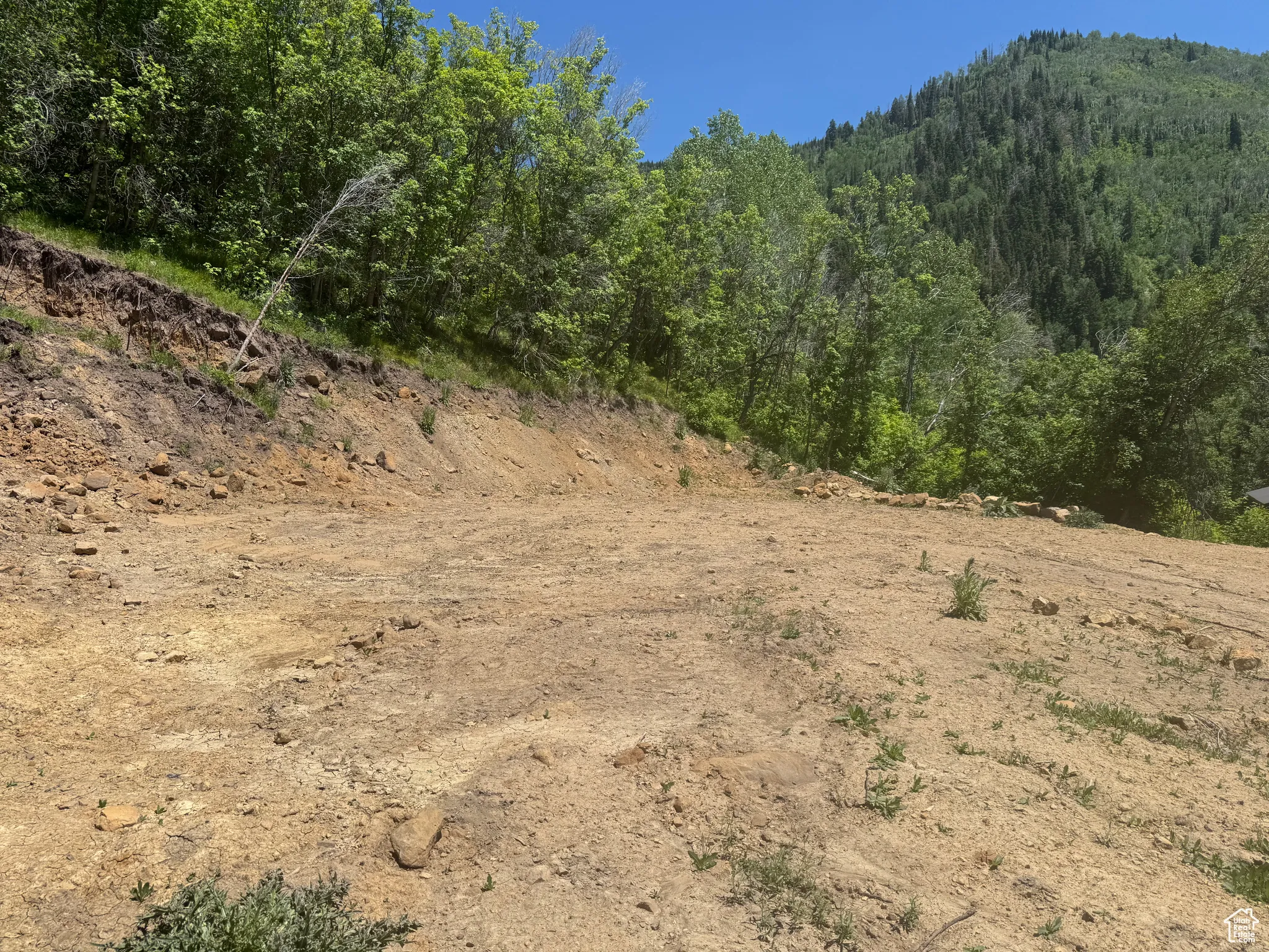 View of wooded area with a mountain view