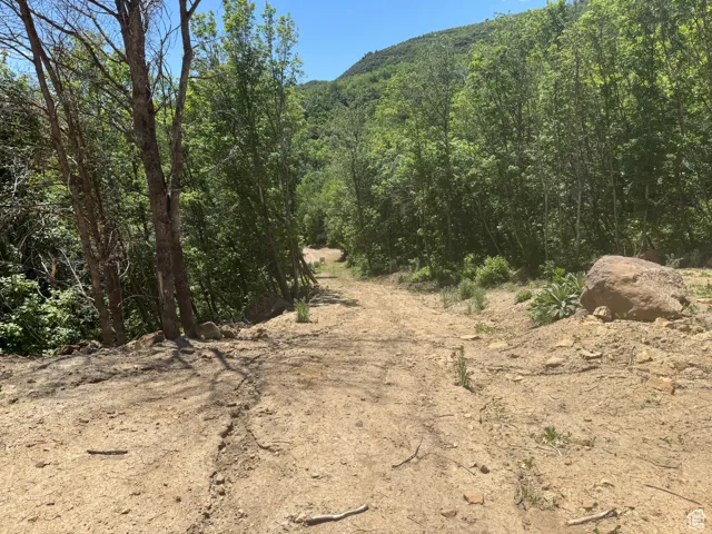 Mountain view featuring a heavily wooded area