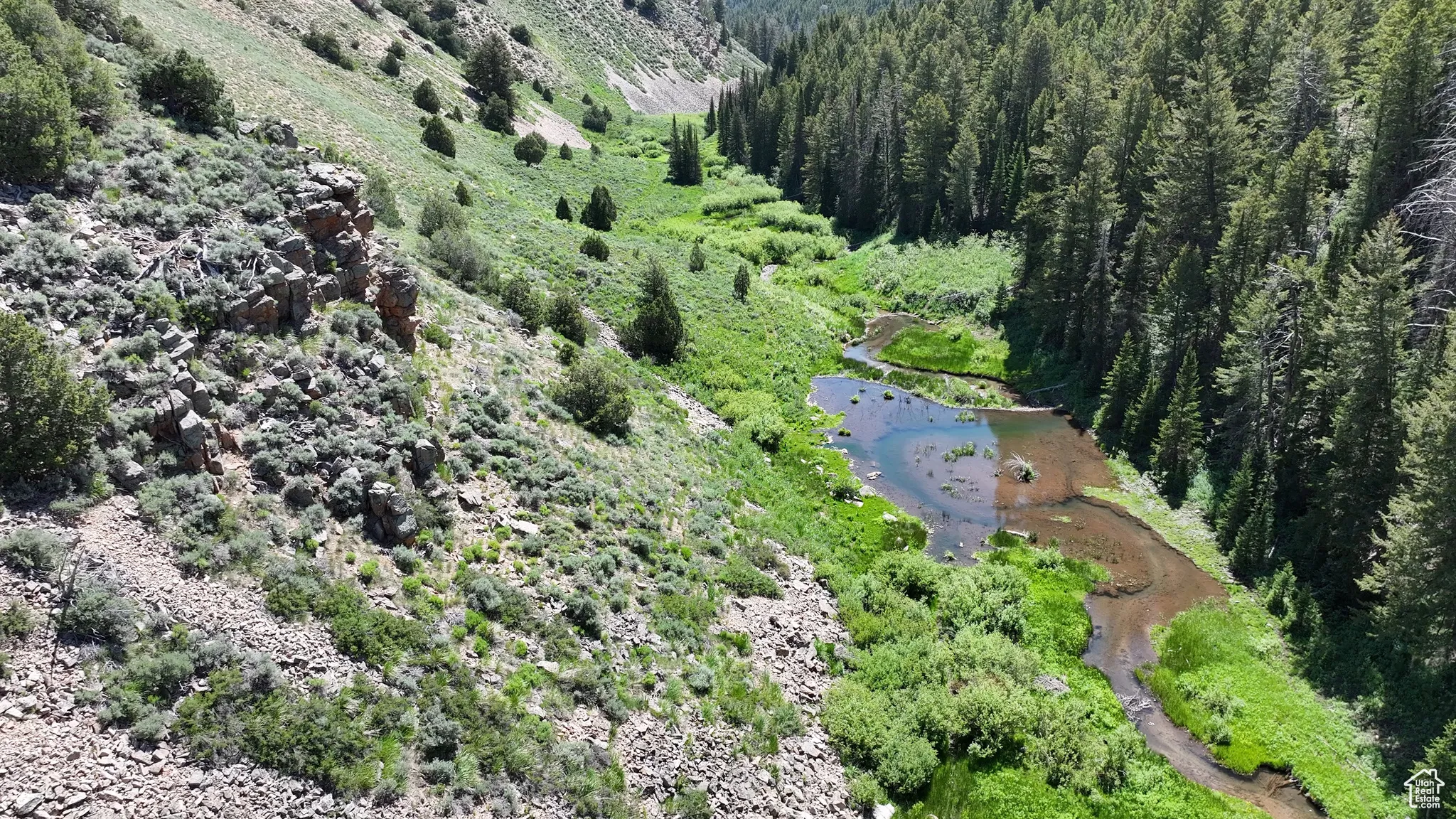 View of property location with a forest