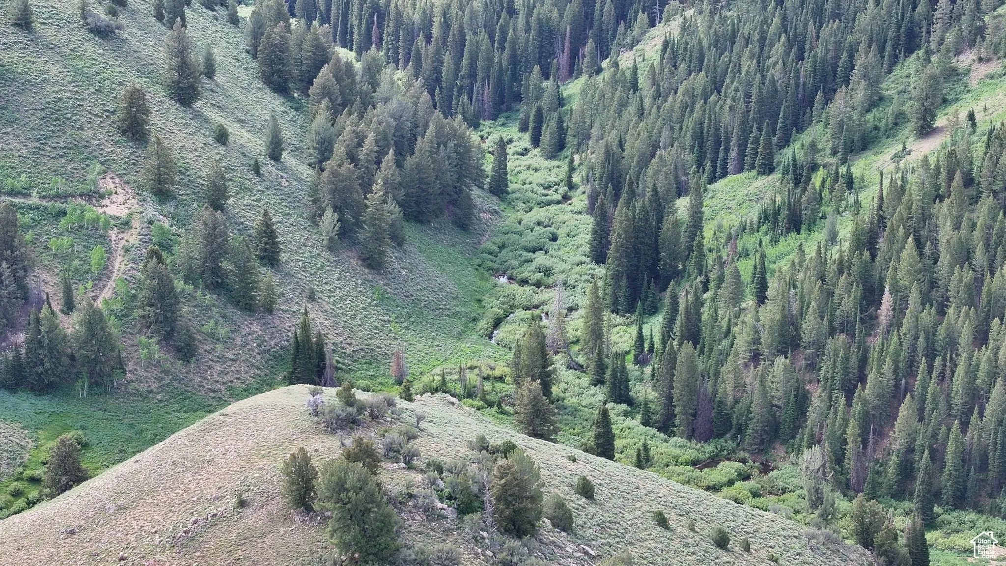 View of property location featuring a heavily wooded area