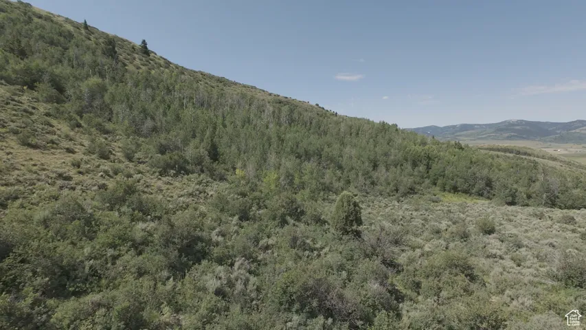 Mountain view featuring a heavily wooded area
