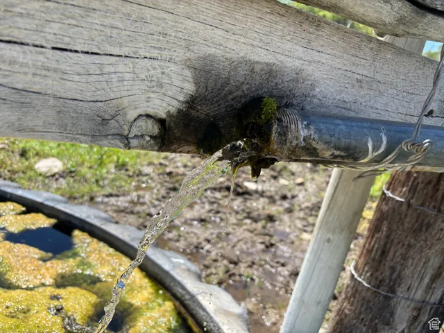Detailed view