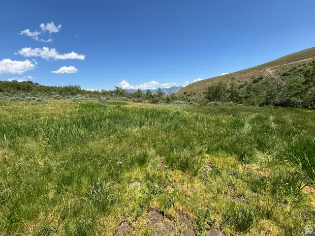 View of undeveloped land with a mountainous background