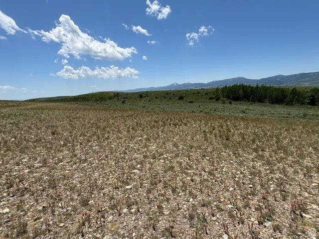 View of mountain backdrop