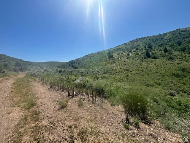 View of mountain background