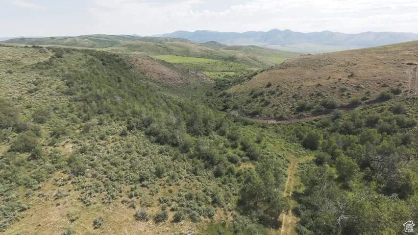 View of mountain background