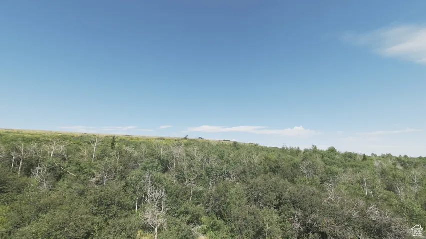 View of nature