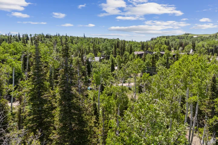 View of woods
