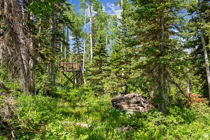 View of yard with a wooded view
