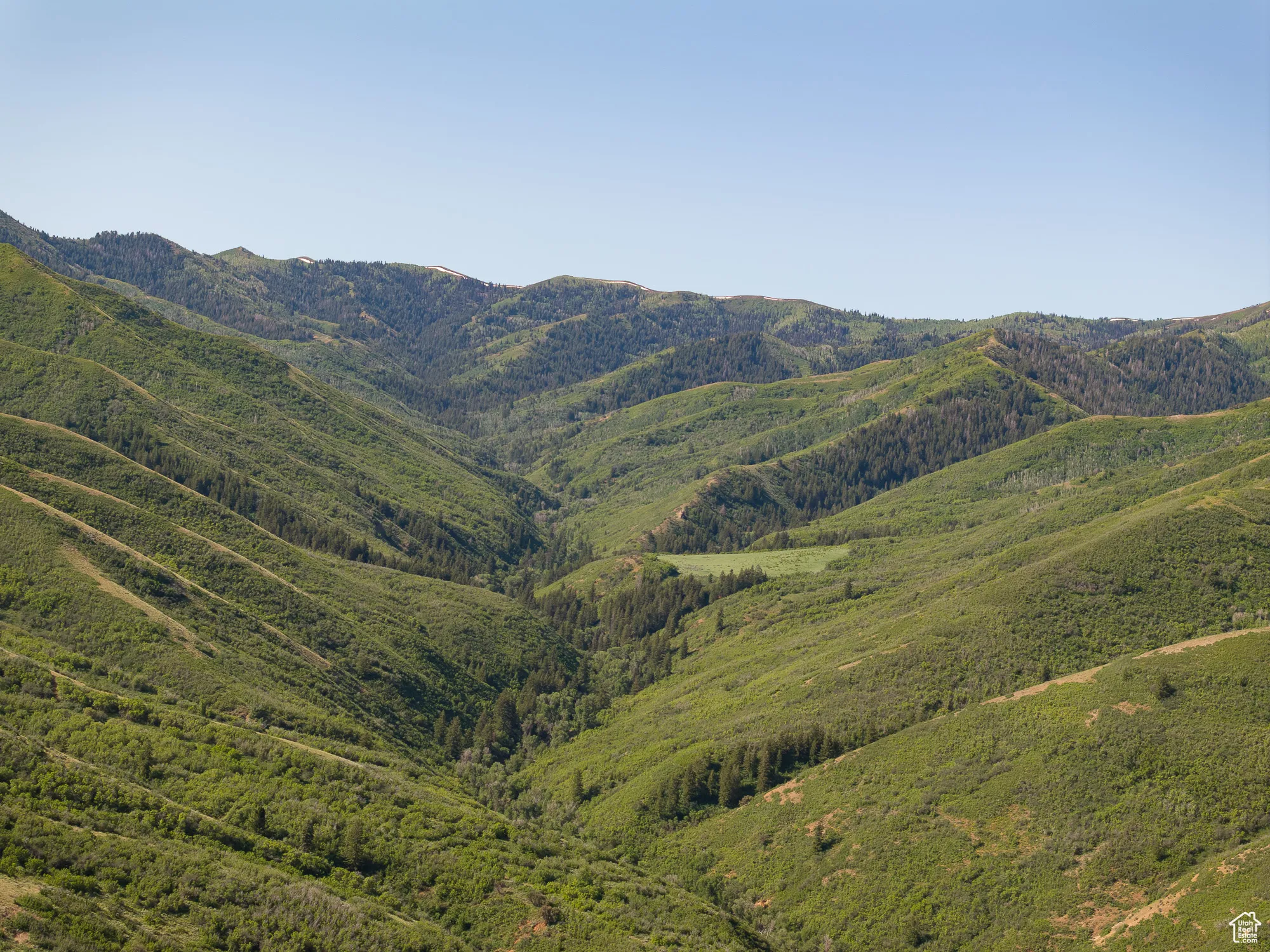 Looking up Sheep Creek Canyon-the Ranch includes almost all of it.