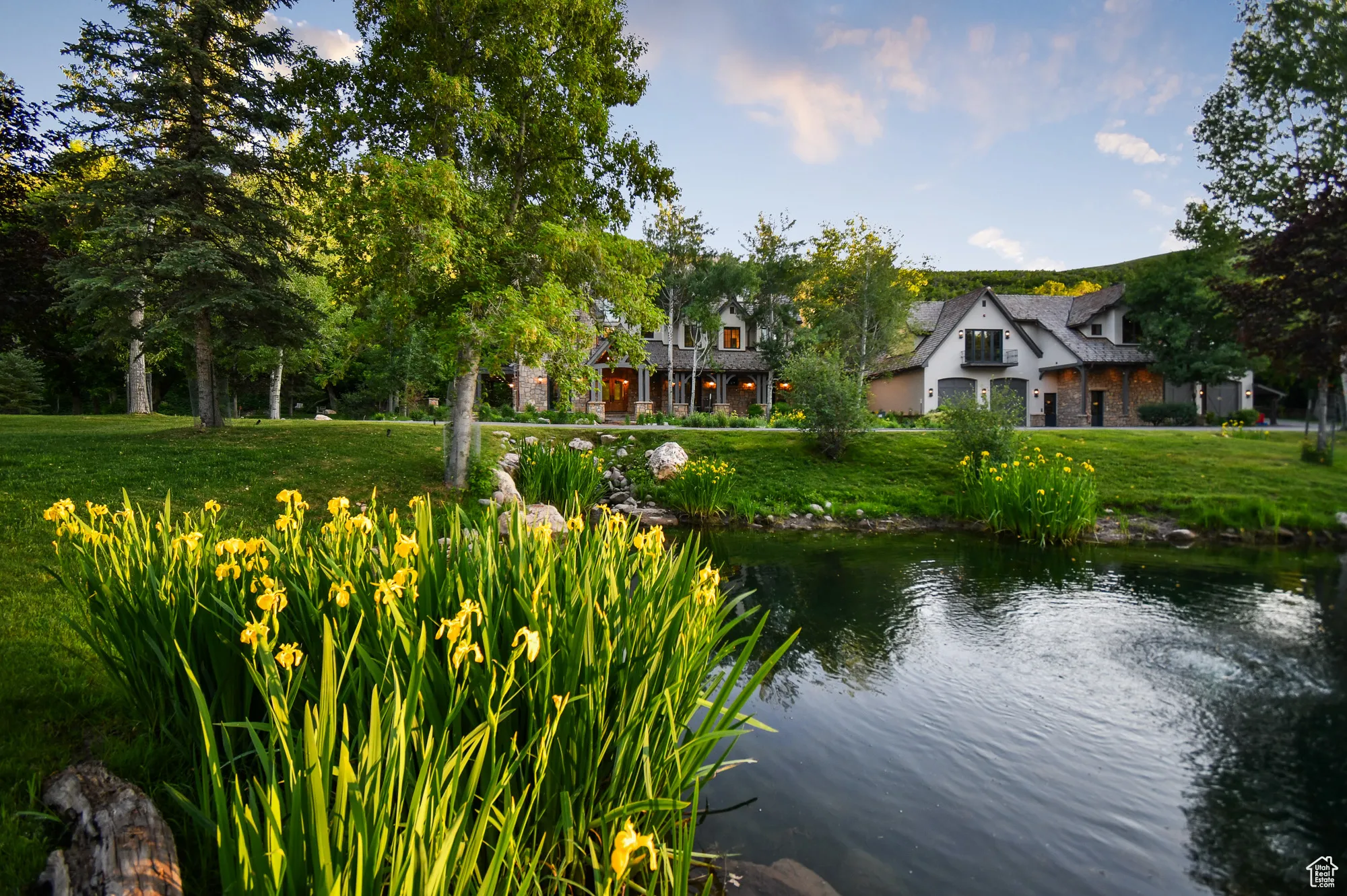 The pond in front of the improvements. Just a small part of the live water features on the estate.