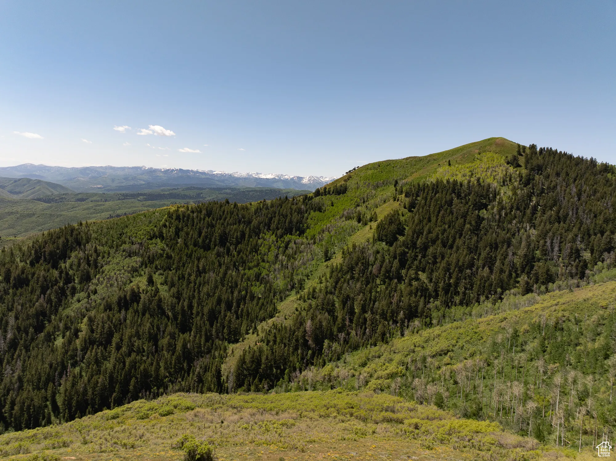 The peak at right is the high point on the Ranch-8,376 feet. That's over 3,000 vertical feet above the level of the home and other improvements on the river.