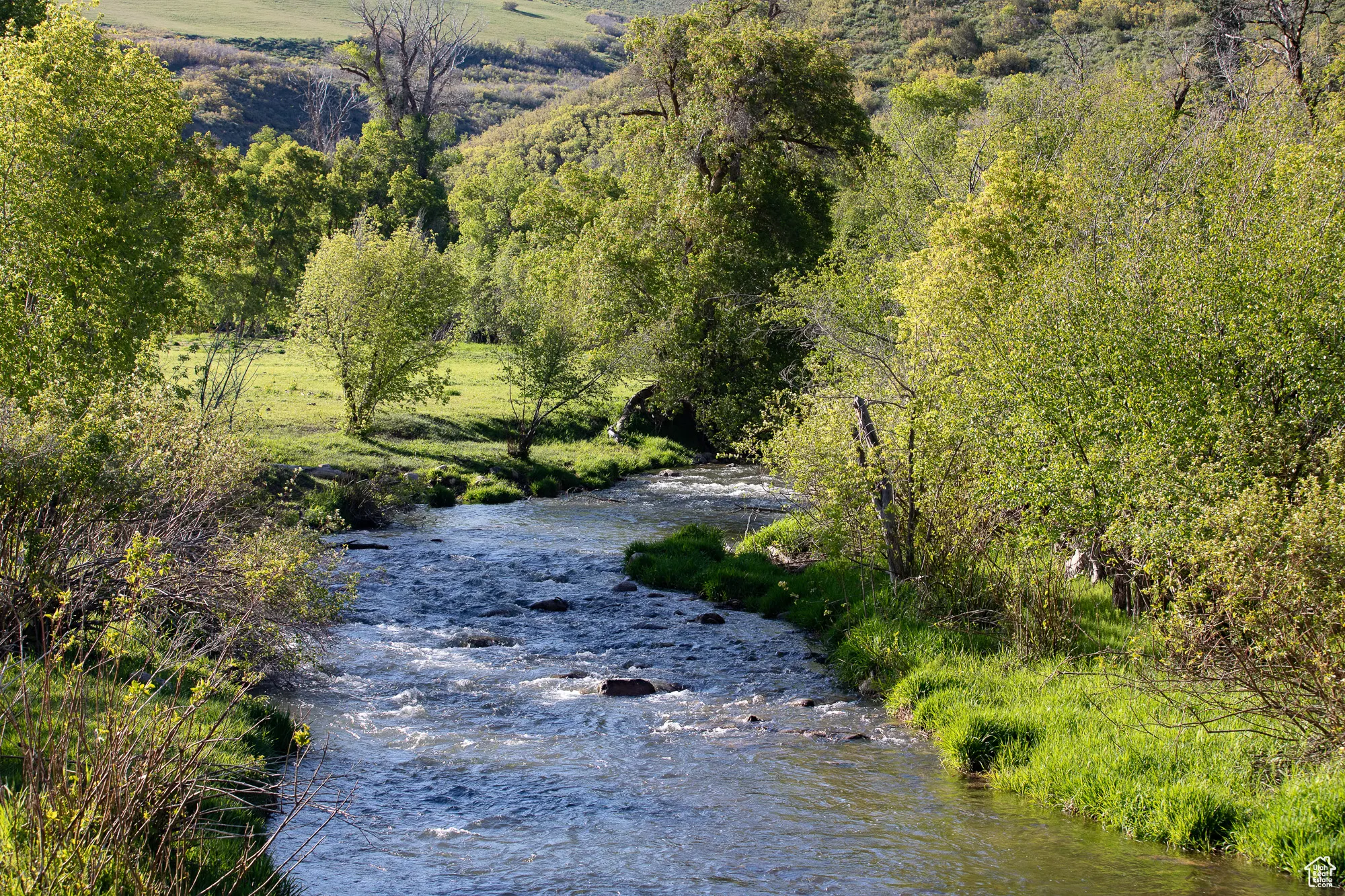 Beautiful East Canyon Creek flows through the Ranch-great fishing!