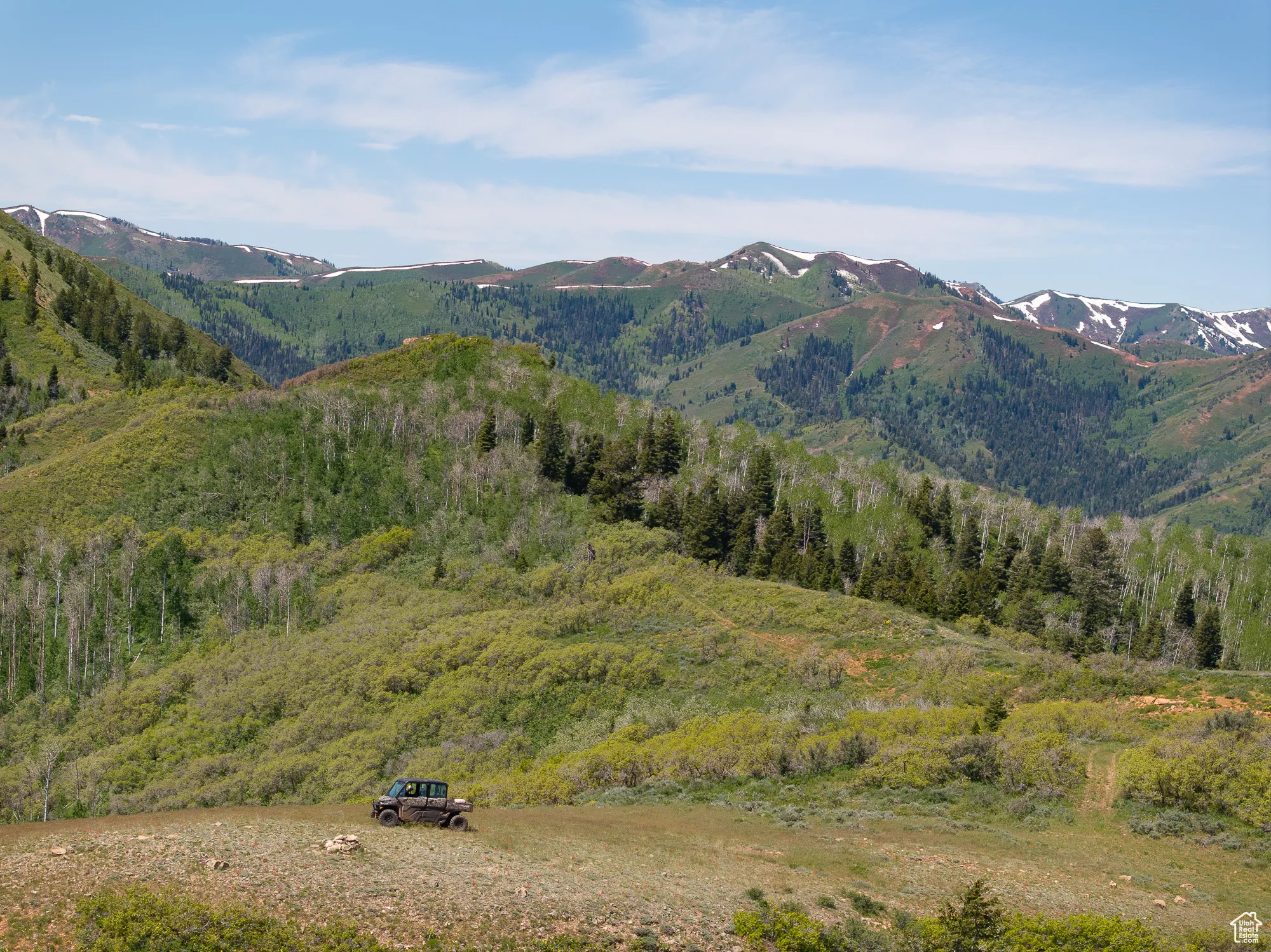 Part of the Ranch at about 7,000 feet above sea level.