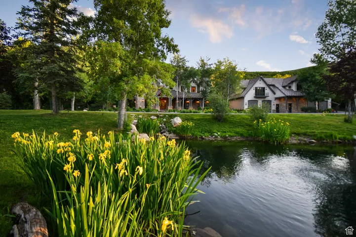 The pond in front of the improvements. Just a small part of the live water features on the estate.