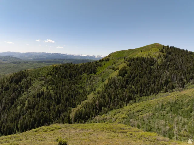 The peak at right is the high point on the Ranch-8,376 feet. That's over 3,000 vertical feet above the level of the home and other improvements on the river.