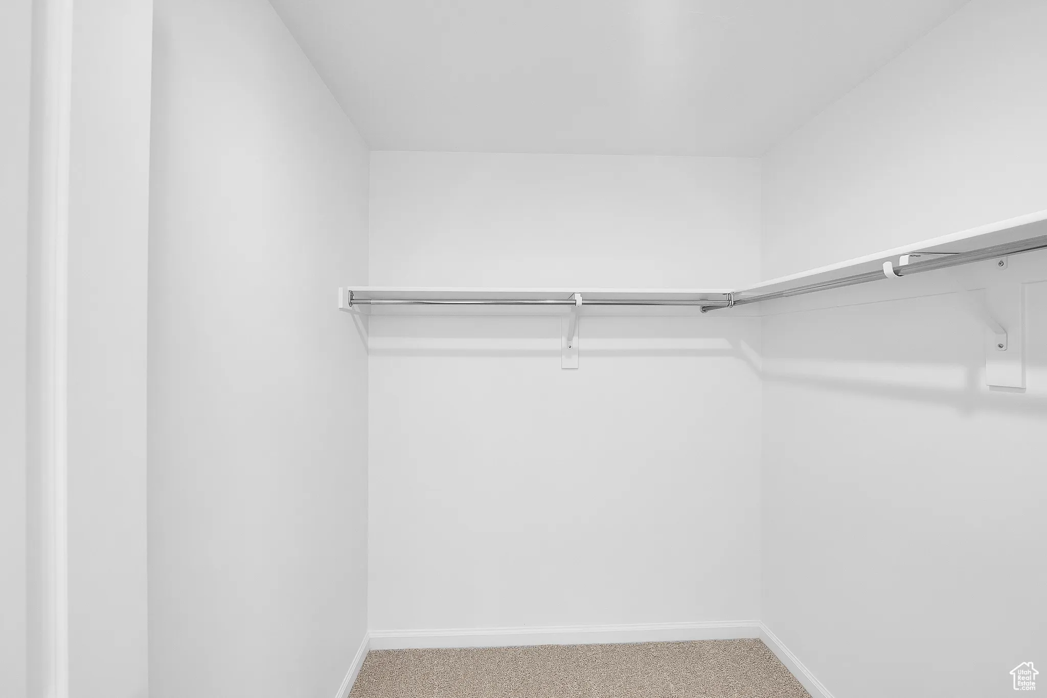 Spacious closet featuring carpet floors