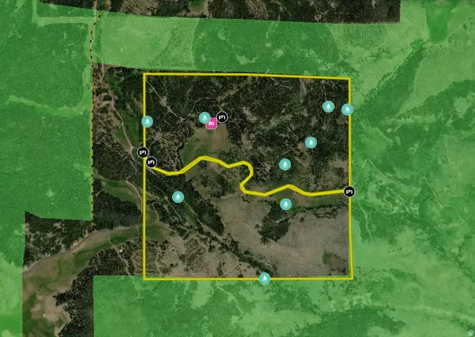 Property Map. Illustrating the boundaries and features of the property