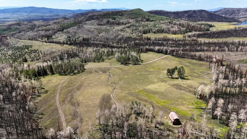 Expansive open land featuring natural terrain with scattered trees and a distant body of water