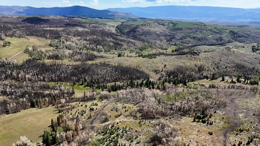 Expansive mountain landscape featuring varied terrain and natural vegetation, including evergreen and deciduous trees