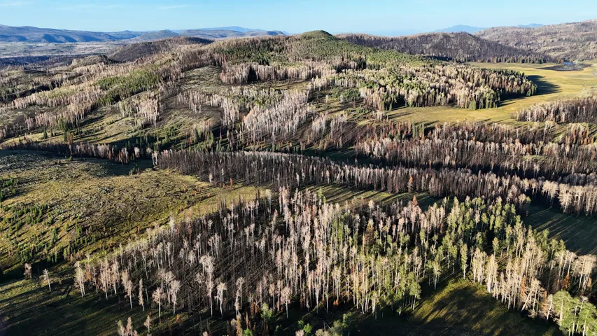 Expansive mountainous terrain featuring diverse tree coverage, including areas of deciduous and evergreen trees, with scattered clearings