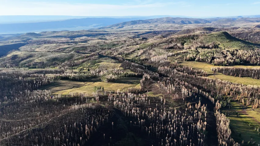 Expansive undeveloped land featuring varied terrain, including wooded areas and open fields