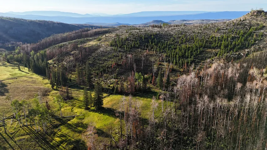 Expansive mountain landscape featuring varied terrain, including green clearings and forested areas
