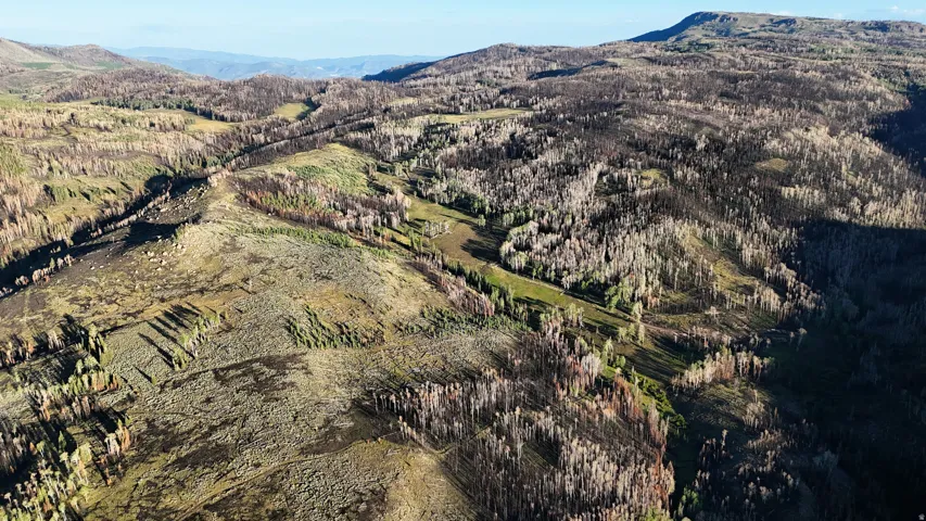 Expansive mountain landscape featuring varied terrain and natural vegetation, including areas of deciduous and evergreen trees
