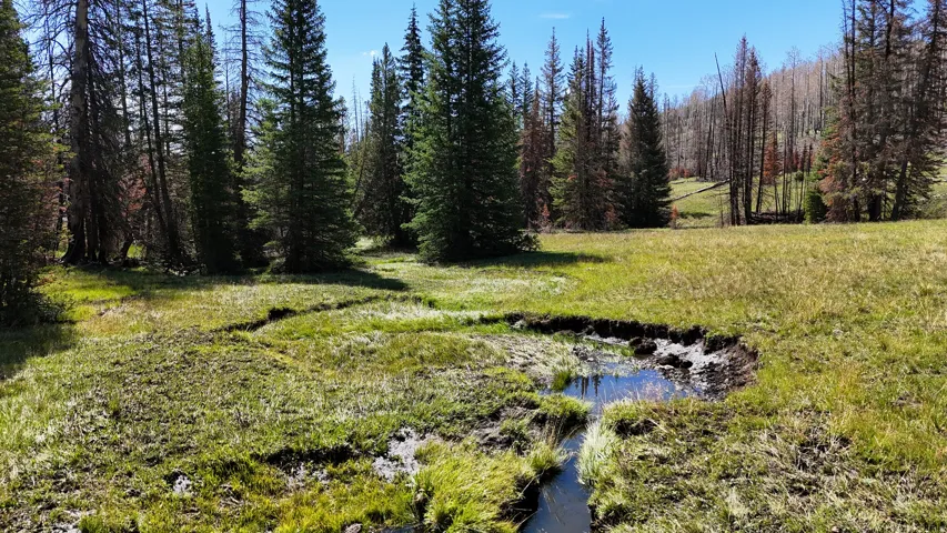 Expansive natural landscape featuring a small stream winding through a grassy meadow