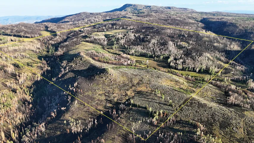 Expansive mountain landscape featuring varied terrain and natural vegetation, outlined by a yellow boundary