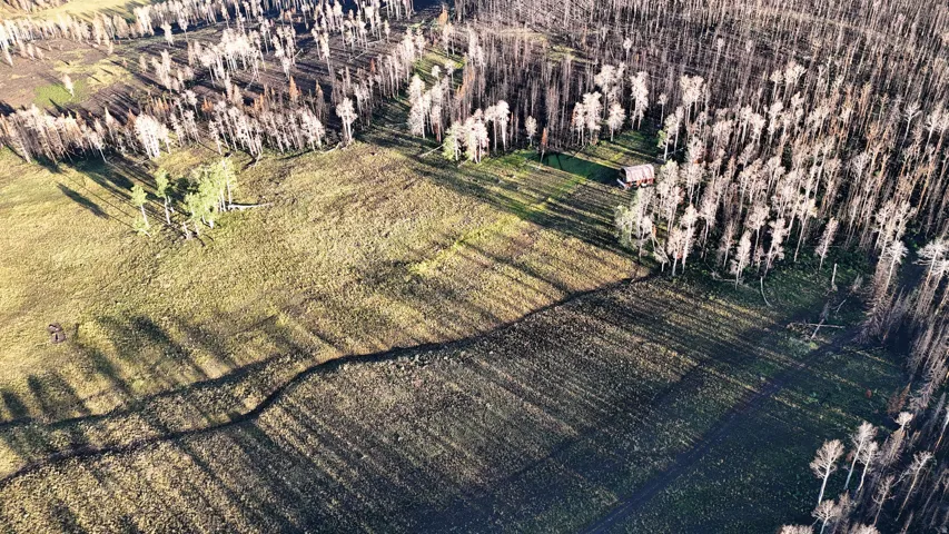 Expansive natural landscape featuring a prominent central clearing