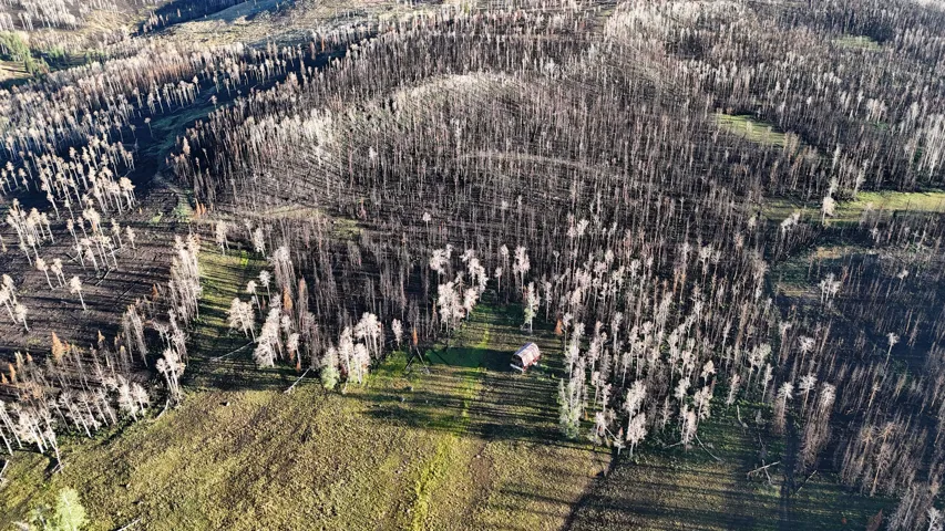 Expansive wooded terrain featuring a single structure