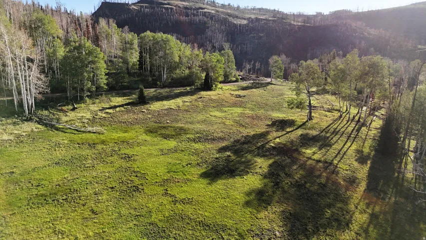 Expansive grassy terrain with scattered trees and a mountainous backdrop